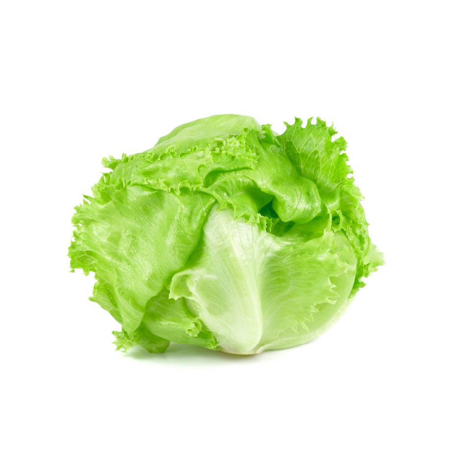 iceberg lettuce